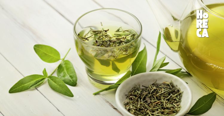 El Encanto del Té: Una Inmersión en su Mundo