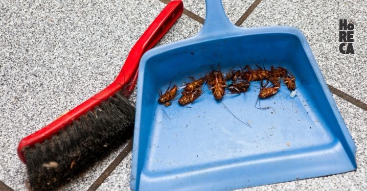 Día Mundial del Control de Plagas